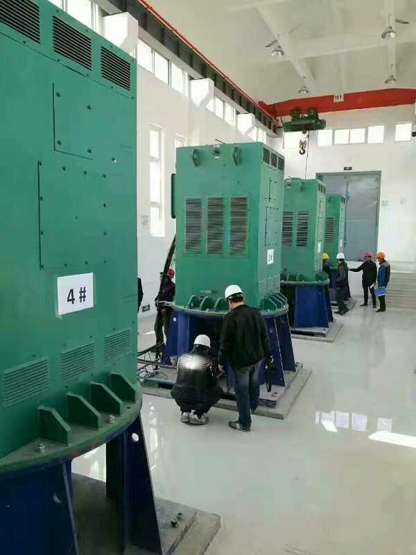 江汉某污水处理厂使用我厂的立式高压电机安装现场质量怎么样